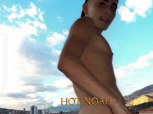 HOT_NOAH