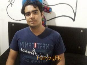 HairybigHo