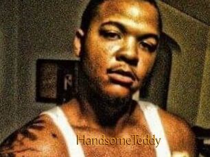 HandsomeTeddy