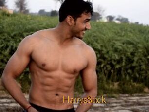 HarrysStick