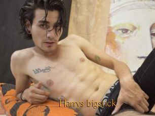 Harrys_bigstick