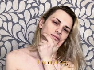 HauntedDog