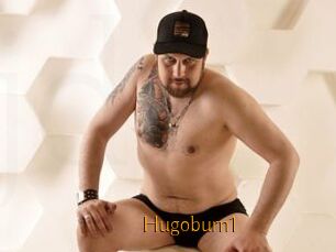 Hugoburn1