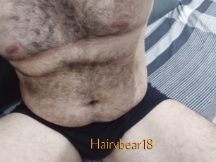 Hairybear18