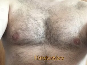 Hairybodyboy