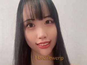 Hanaflowerjp