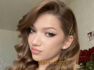 Harrietbagge