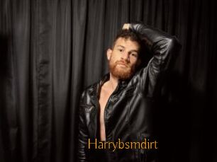 Harrybsmdirt