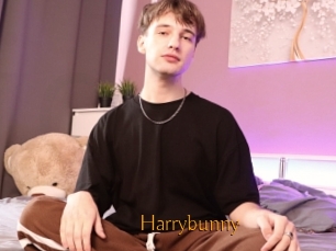 Harrybunny