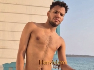 Harrylebron