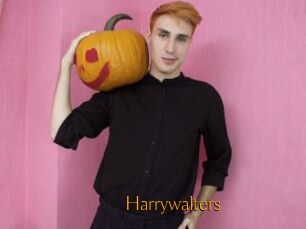 Harrywalters