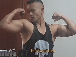 Harveytorres