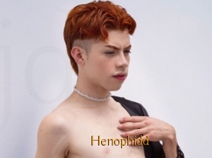 Henophidd