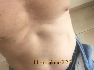 Homealone222