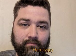 Horneyguy
