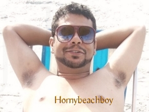 Hornybeachboy