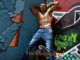 Hornyboycockhard