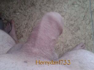 Hornydan1733