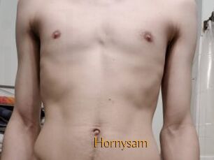 Hornysam