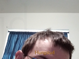 Hungstud