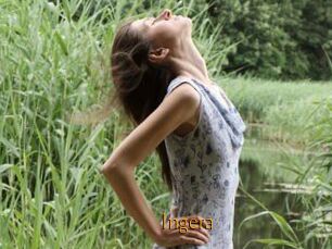 Ingera