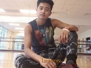 Iam_mrv