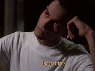 Ikaro_birdy