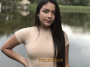 Imcataleya
