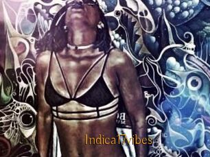 Indica17vibes
