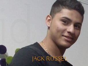 JACK_RUSSEL