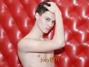 JoeyB0Y