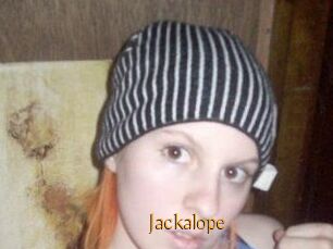 Jackalope