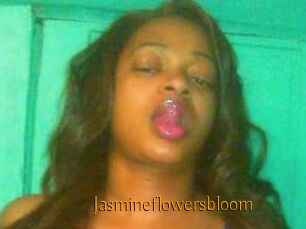 Jasmineflowersbloom