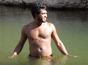 Joebernal