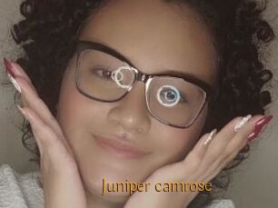Juniper_camrose