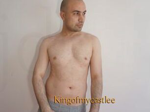Kingofmycastlee
