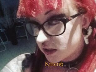 Kitten6
