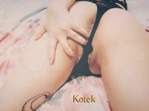 Kotek