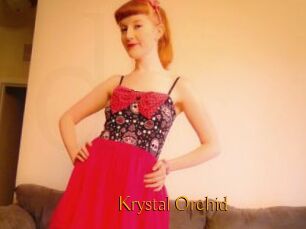 Krystal_Orchid