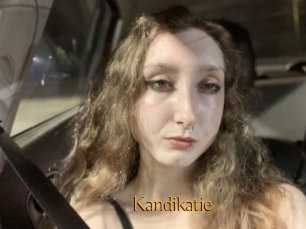 Kandikatie
