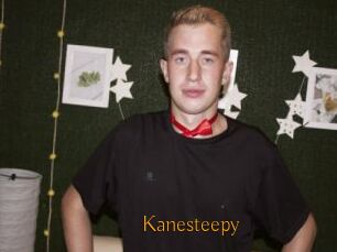 Kanesteepy
