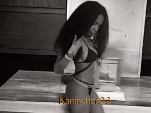 Kaninchen23