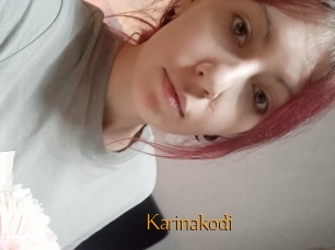 Karinakodi