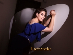 Karinanoire