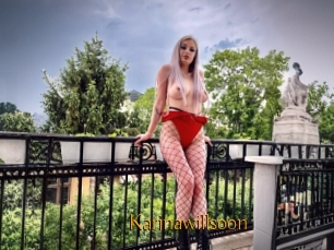 Karinawillsoon
