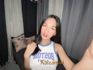 Kateamari