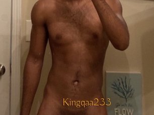 Kingqaa233