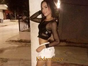 Kodamagrey