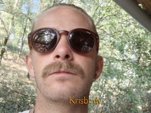 Krisbirdy