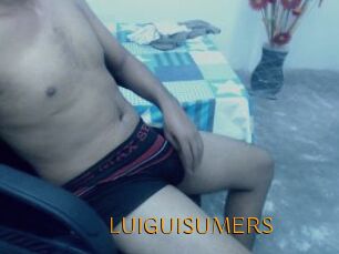 LUIGUISUMERS